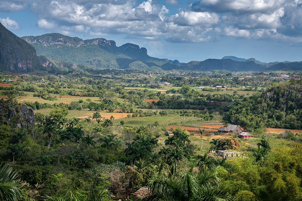 View of Vinales Valley seen from Hotel Los Jazmines viewpoint-Vinales-Cuba art print by Janis Miglavs for $57.95 CAD